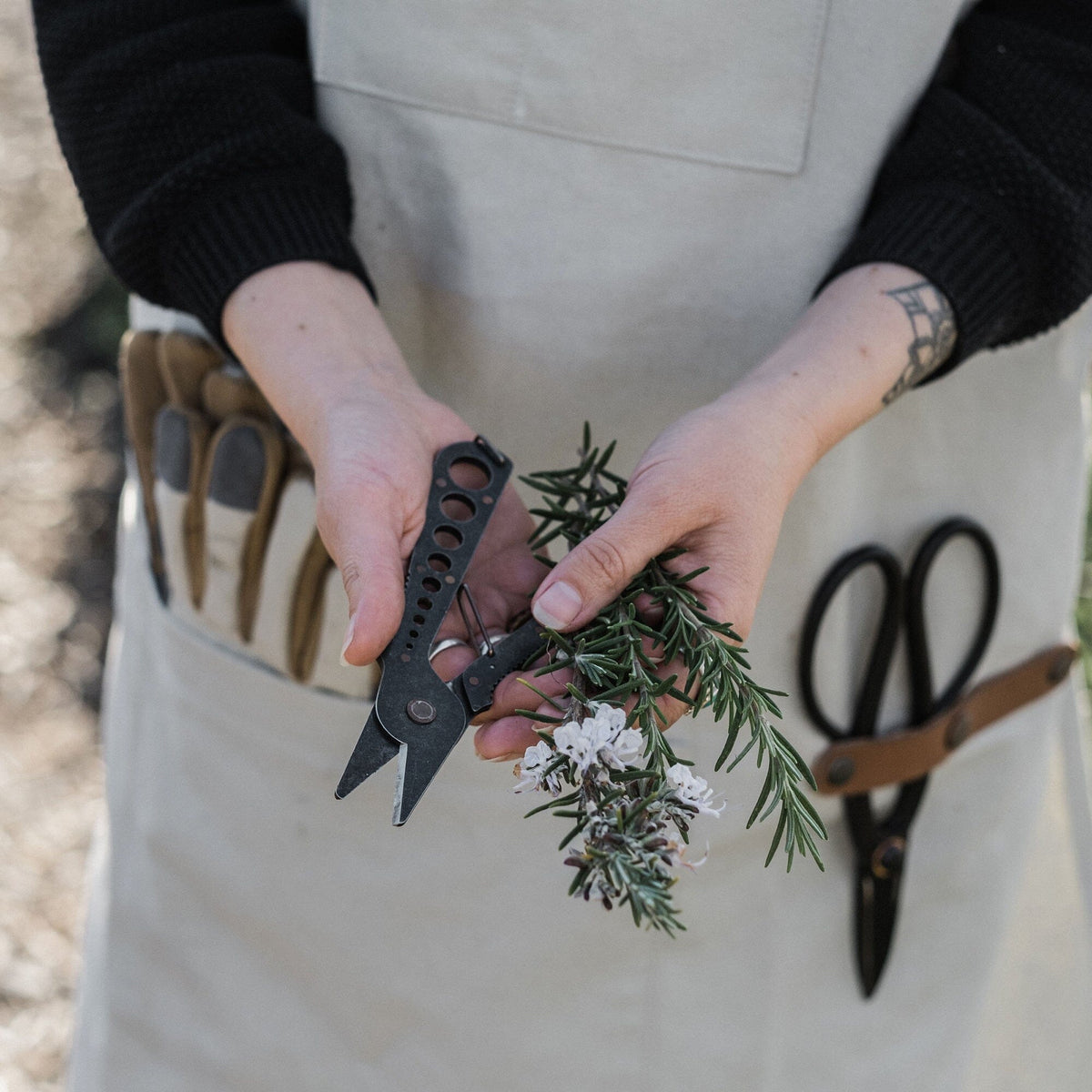 Herb Harvest and Strip Tool
